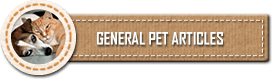 General Pet Articles